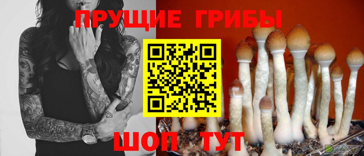 Шатура  купить наркотик  Вход с VPN  Псилоцибиновые грибы ЛСД 
